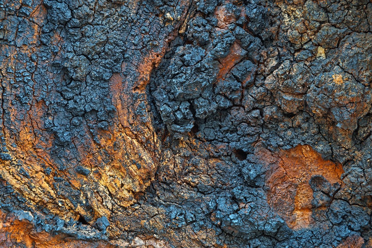 Текстура обугленной древесины