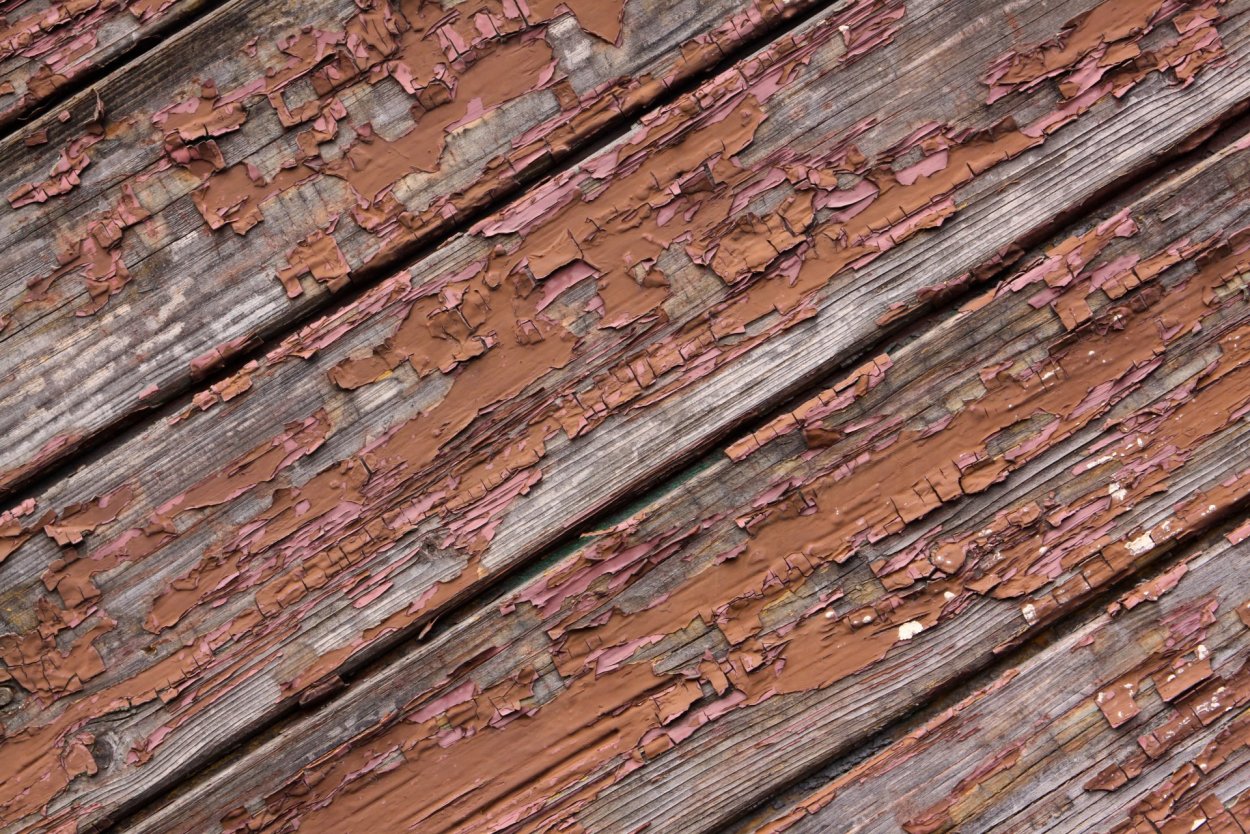 Гнилые доски