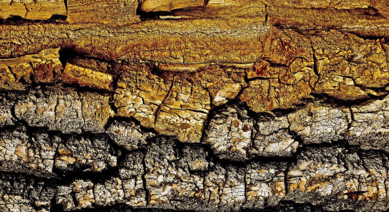 Текстура дерева с трещинами