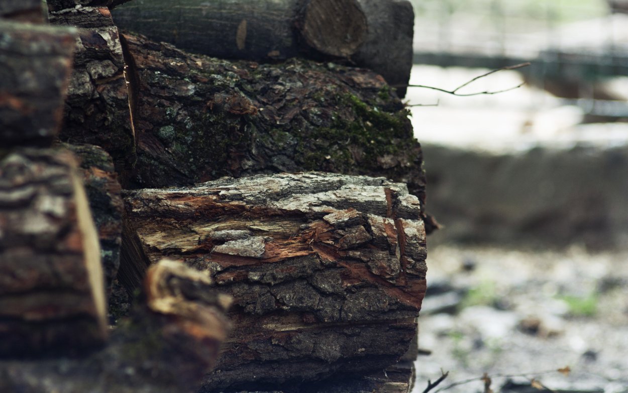 Бревно на природе