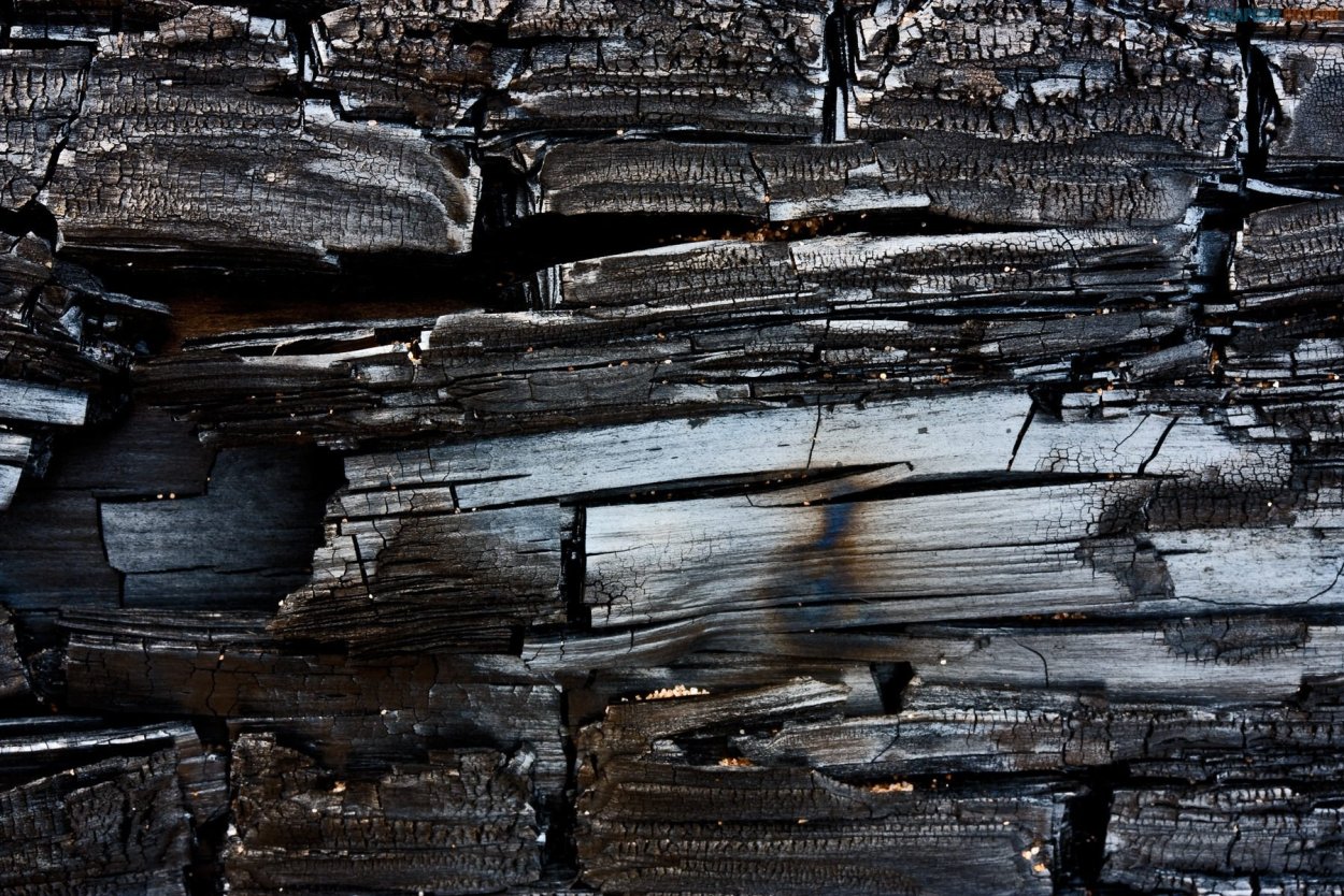 Горелая древесина