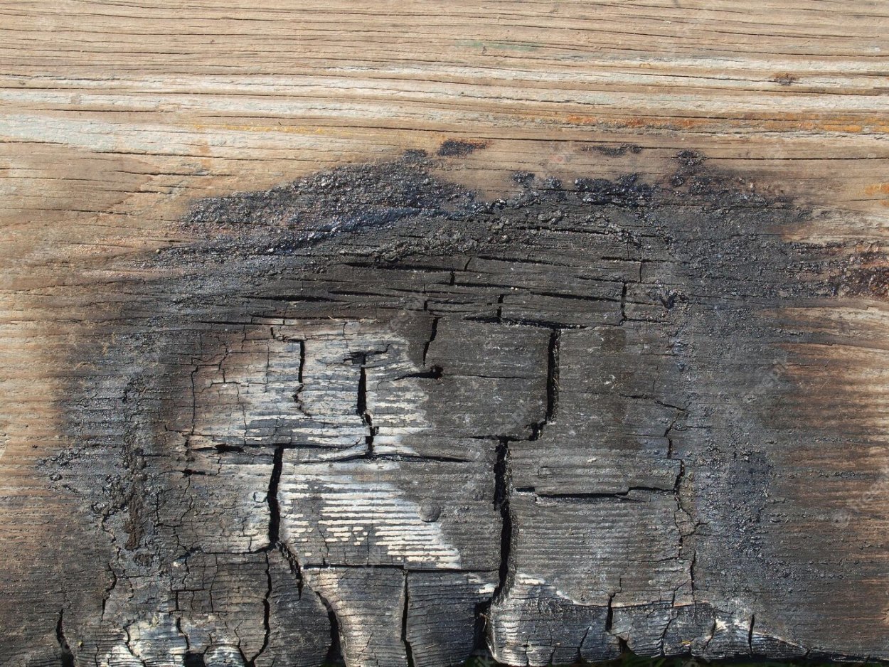 Прожженное дерево