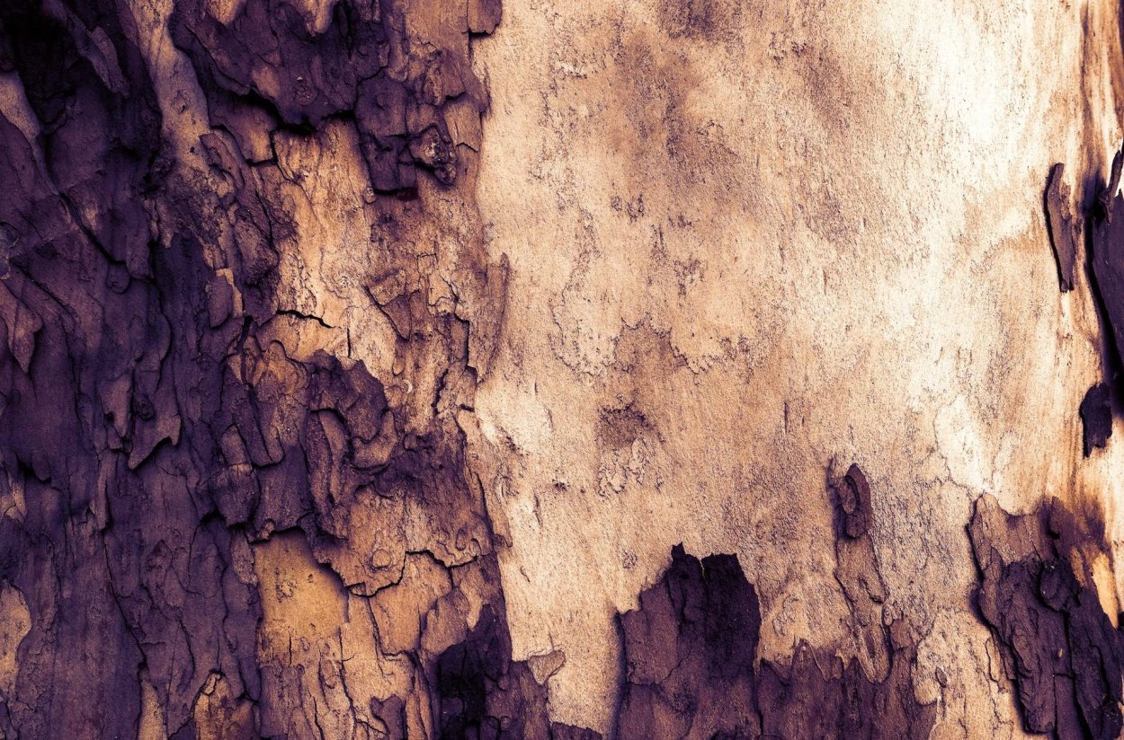 Обгоревшая древесина