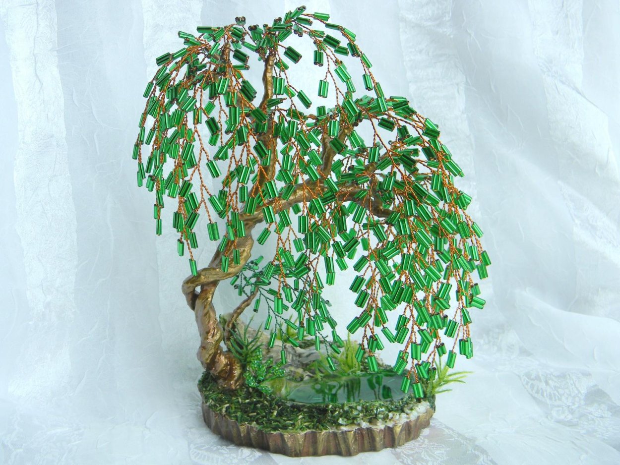 Бисерное дерево плакучая Ива