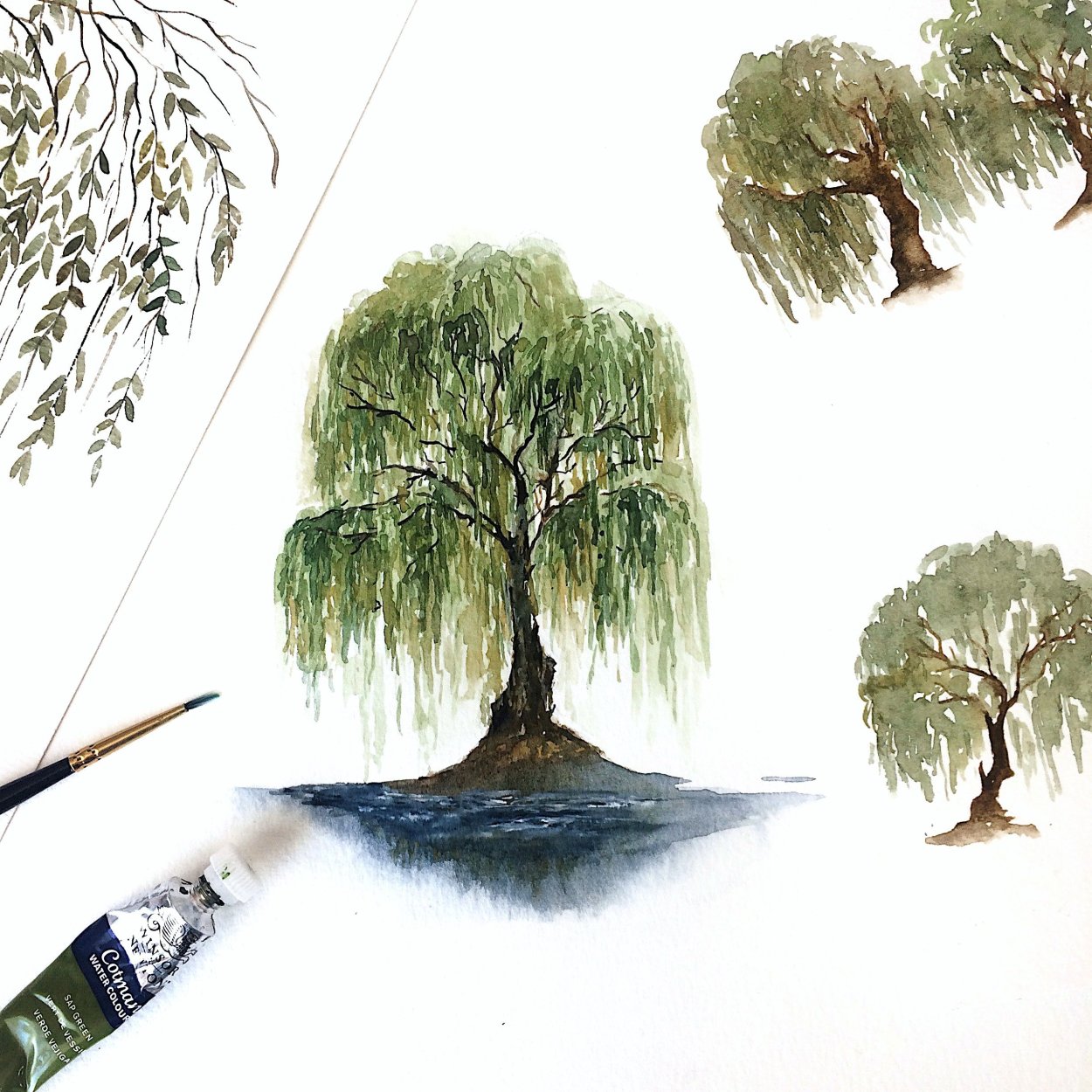 Плакучая Ива акварелью