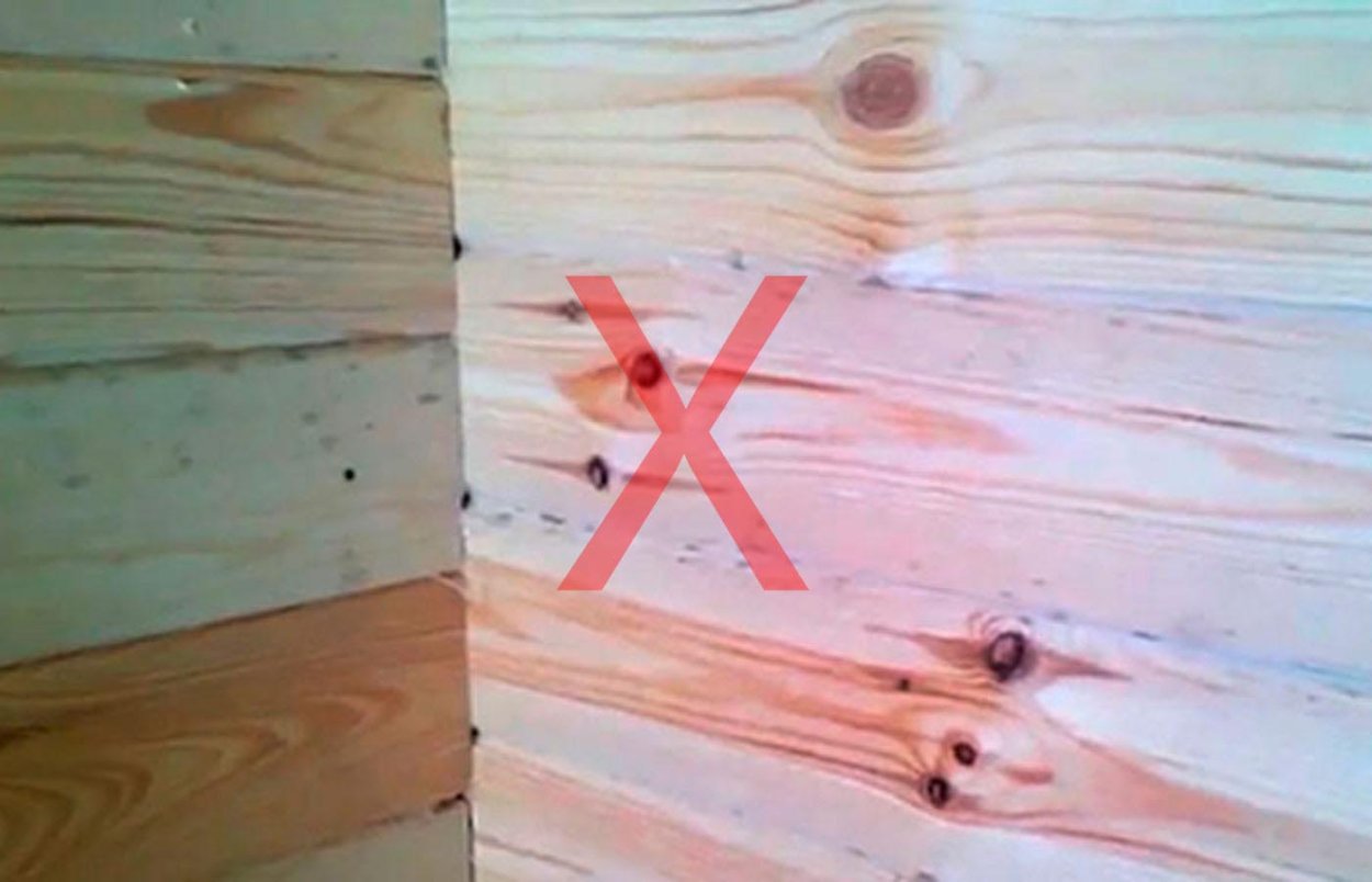 Грибковые повреждения древесины