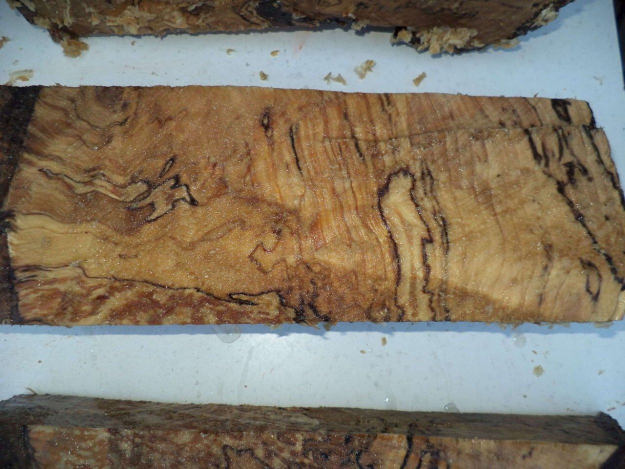 Пятнистость древесины