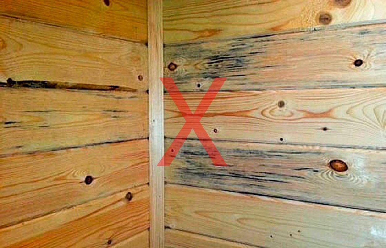 Дерево без коры