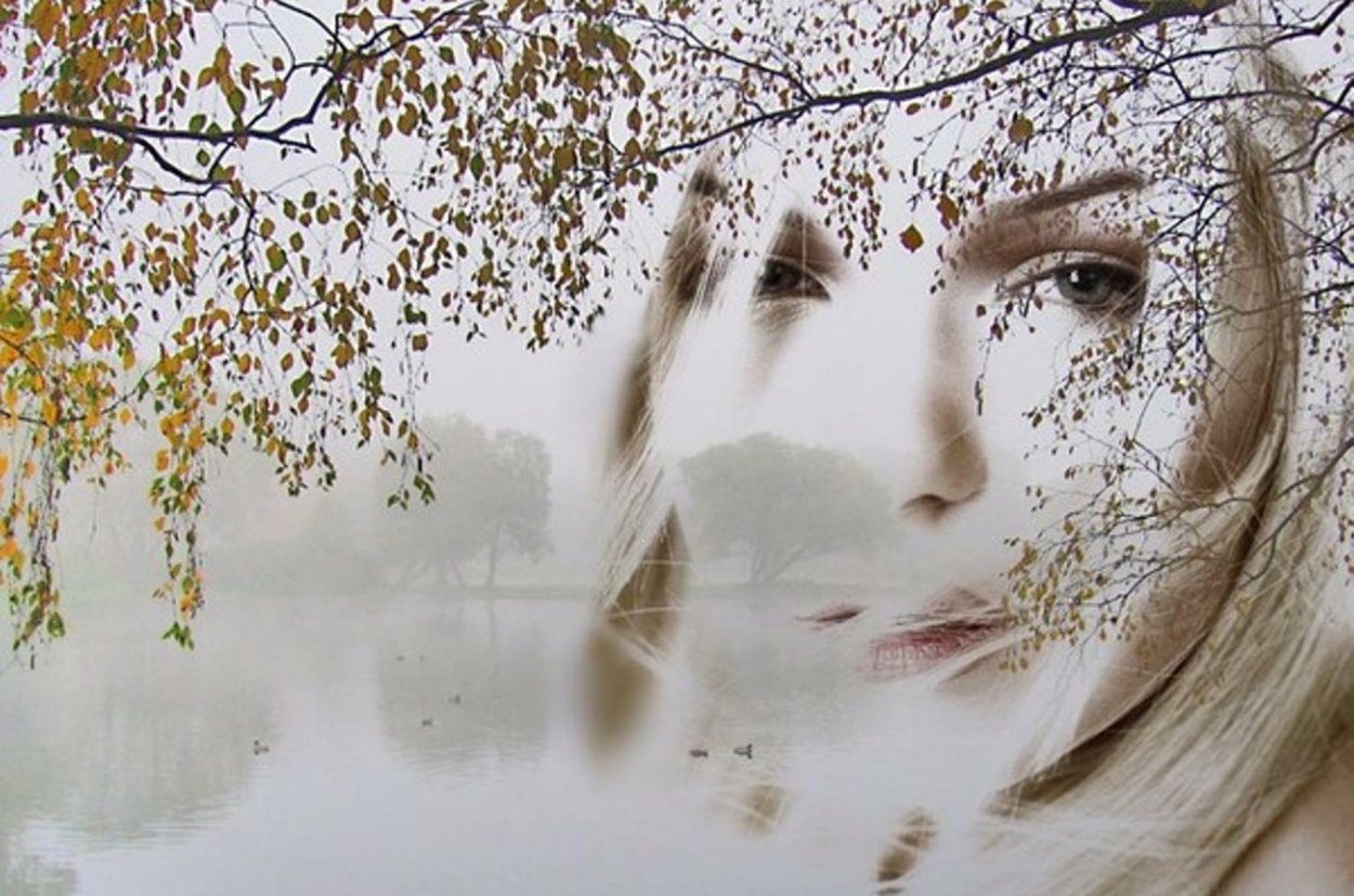 Береза под дождем