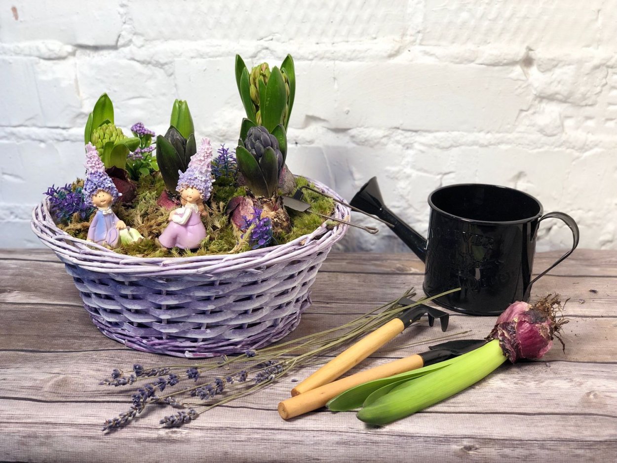 Луковичные в горшках