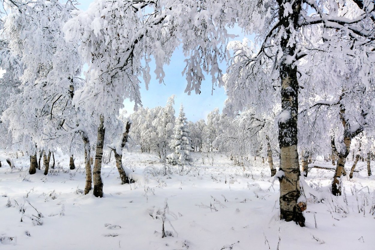 Зауралье зимний пейзаж