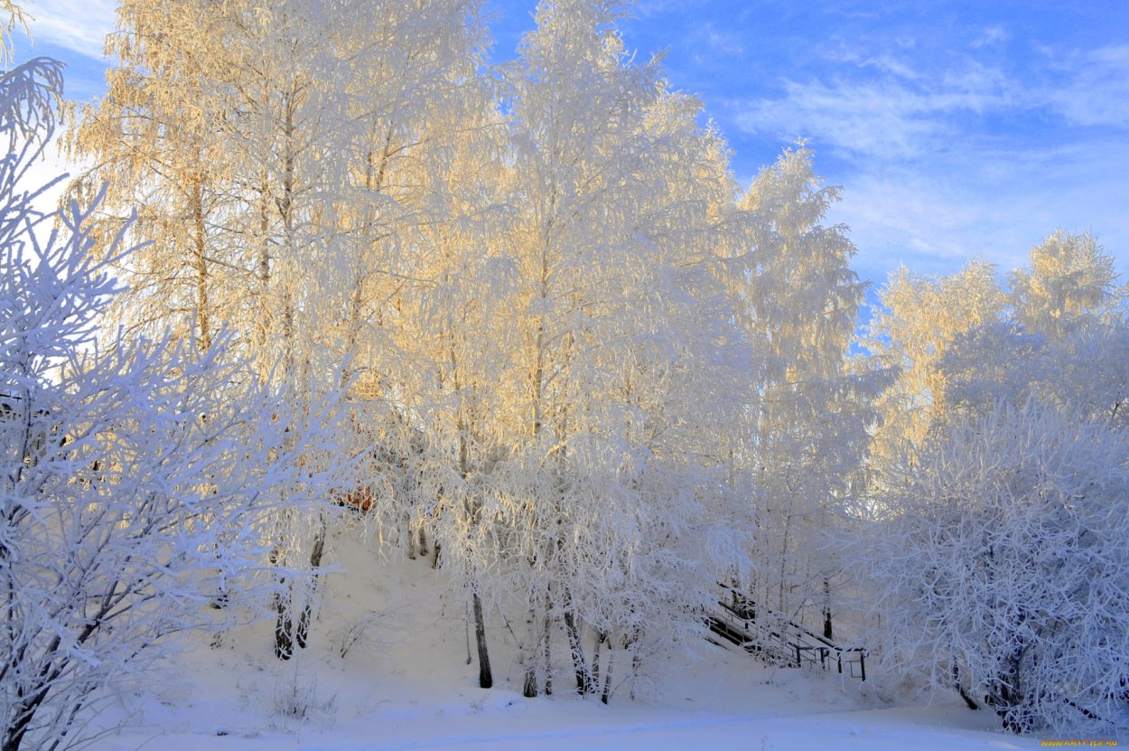 Февральский пейзаж
