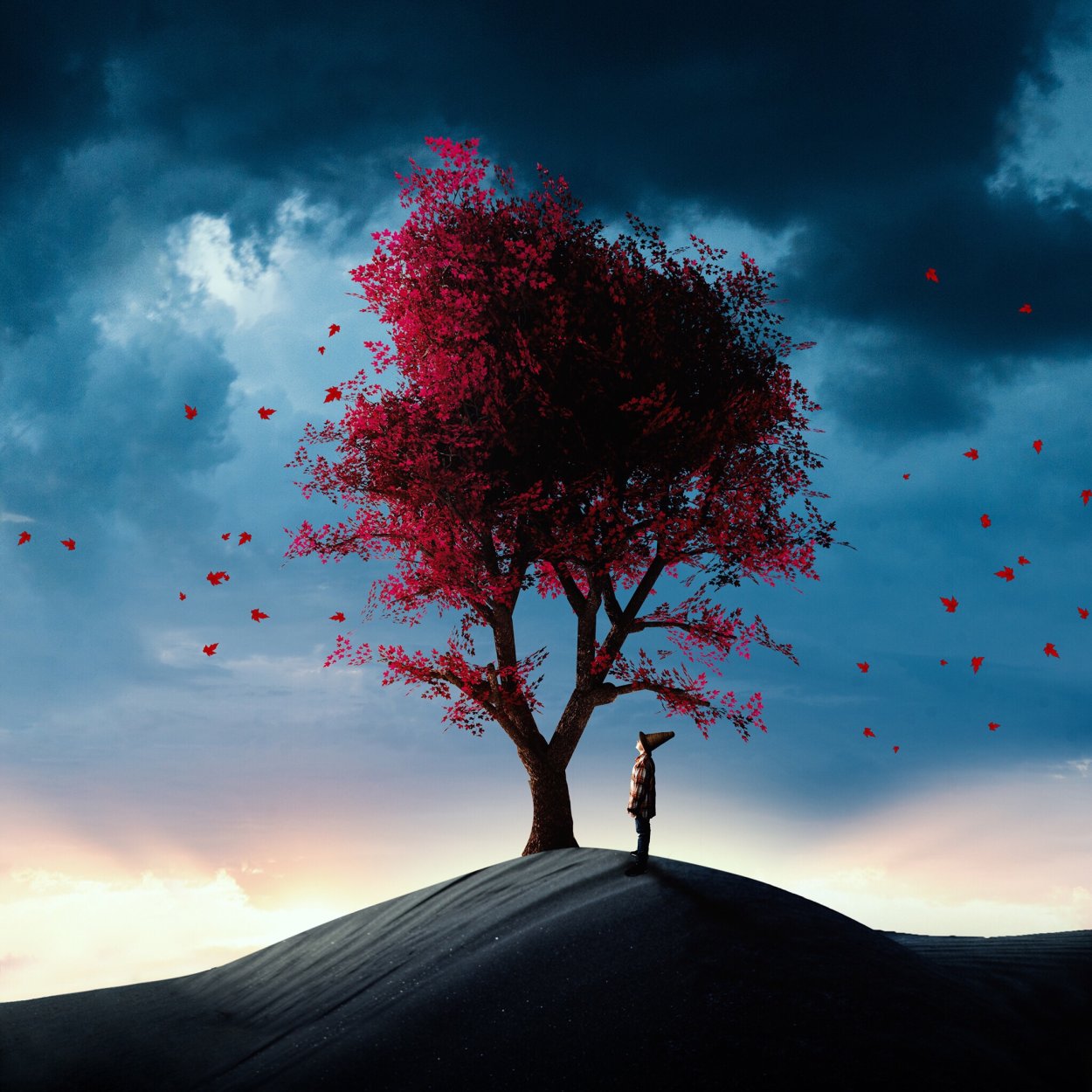 Красное дерево пустыня