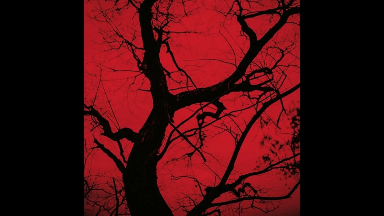 Дерево с сердечками