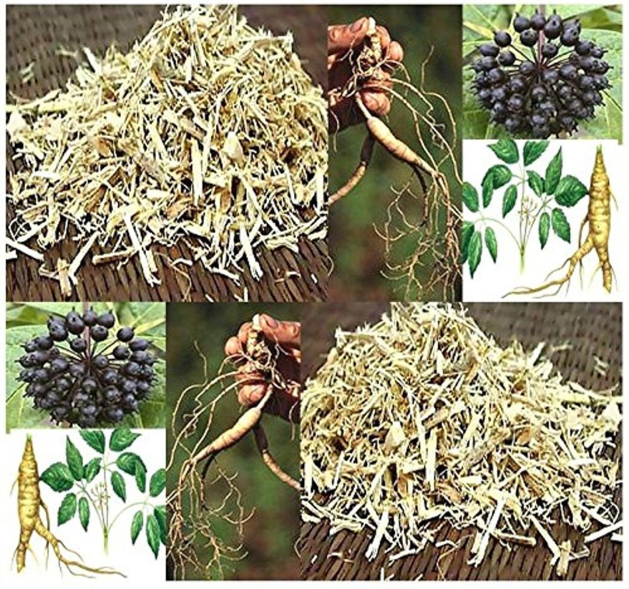 Экстракт элеутерококка и элеутерококк