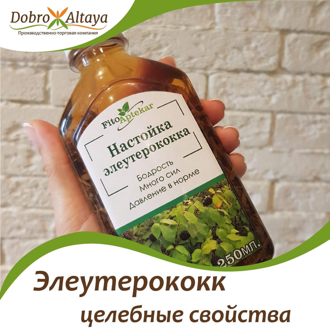 Капли для повышения давления элеутерококка