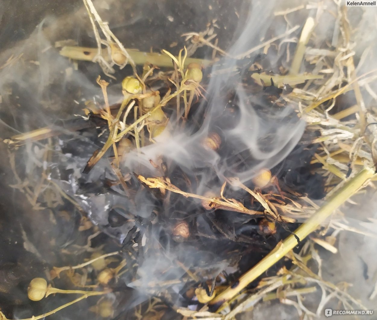 Могильник адраспан гармала