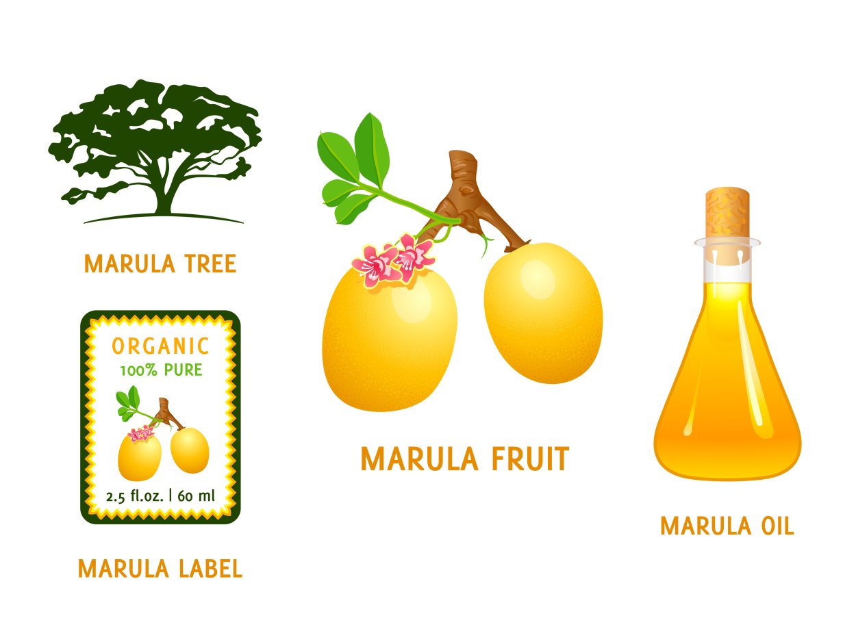 Растение Марула