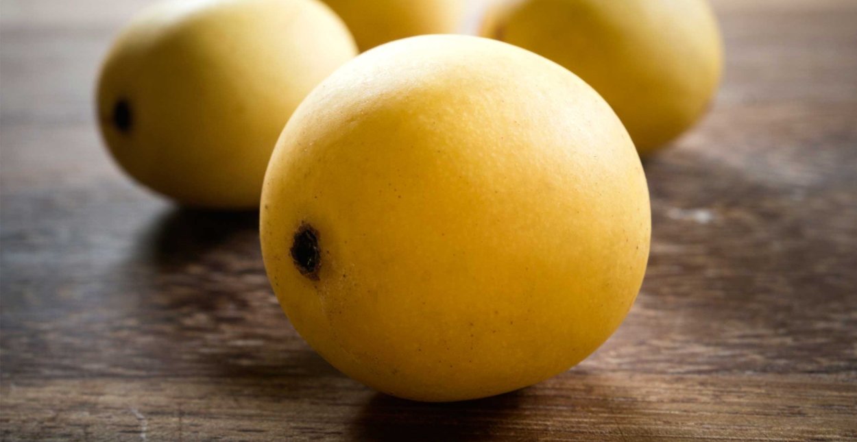 Слоновье дерево Марула