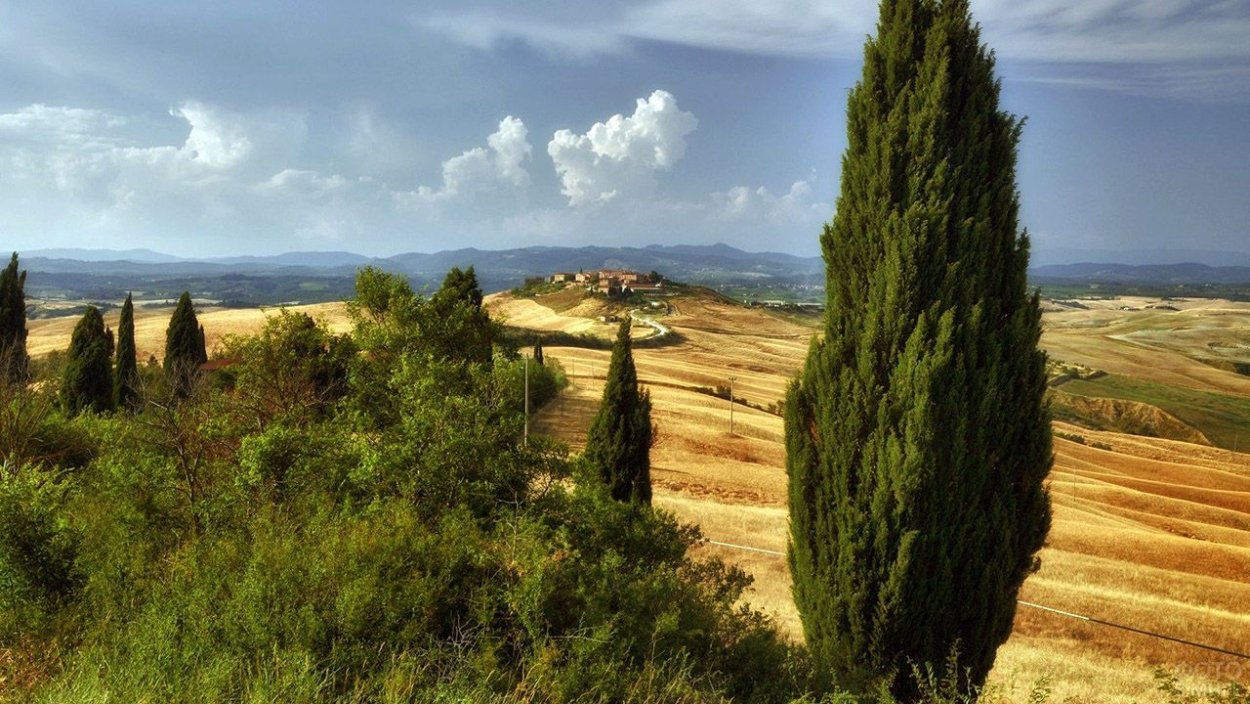 Тоскана Кипарисовые холмы