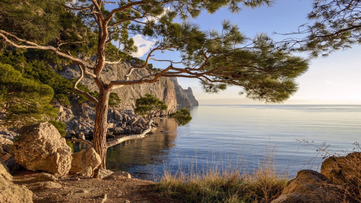 Крым сосны горы море Песчаное