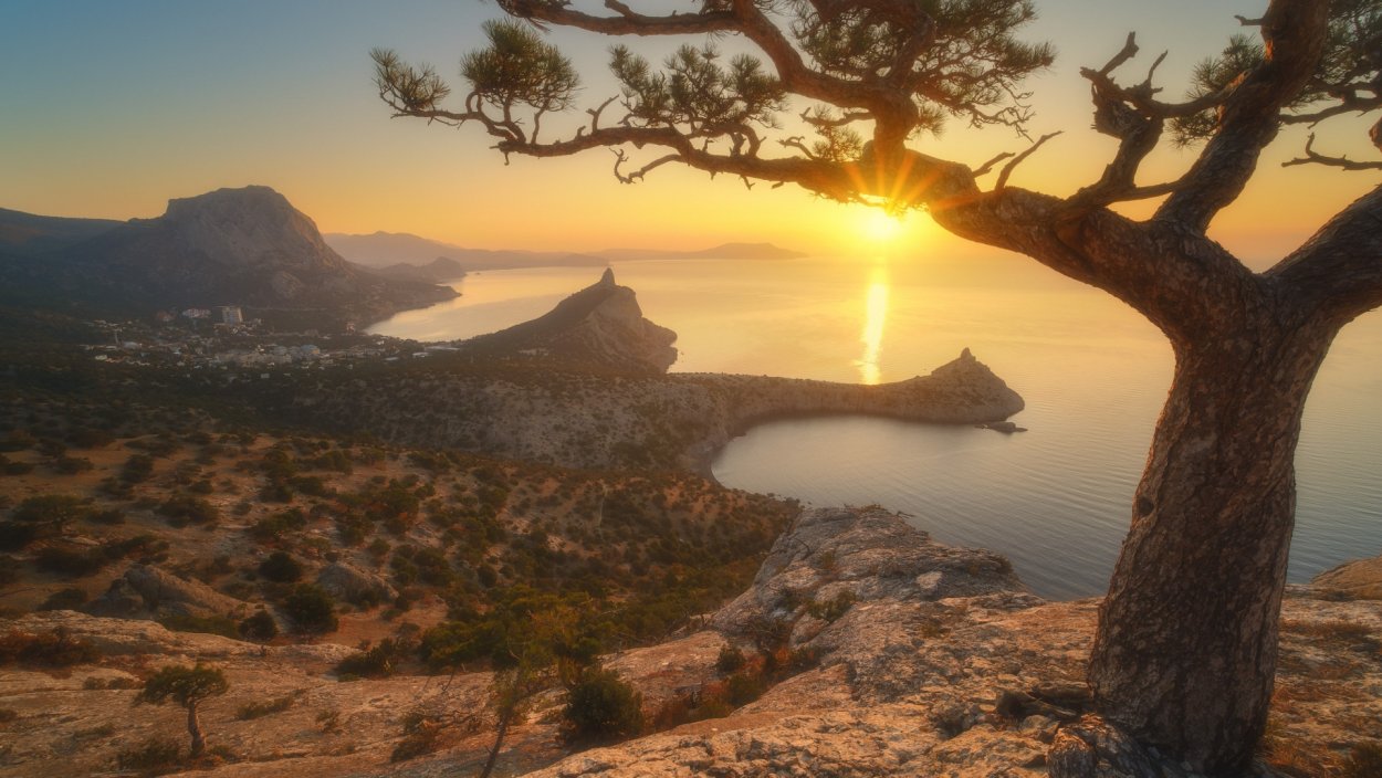 Крым море горы сосна мыс Капчик