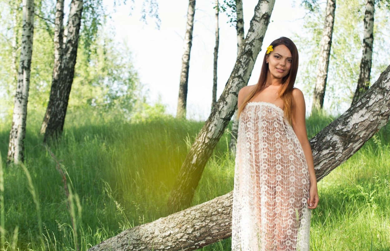 Золотая осень березы