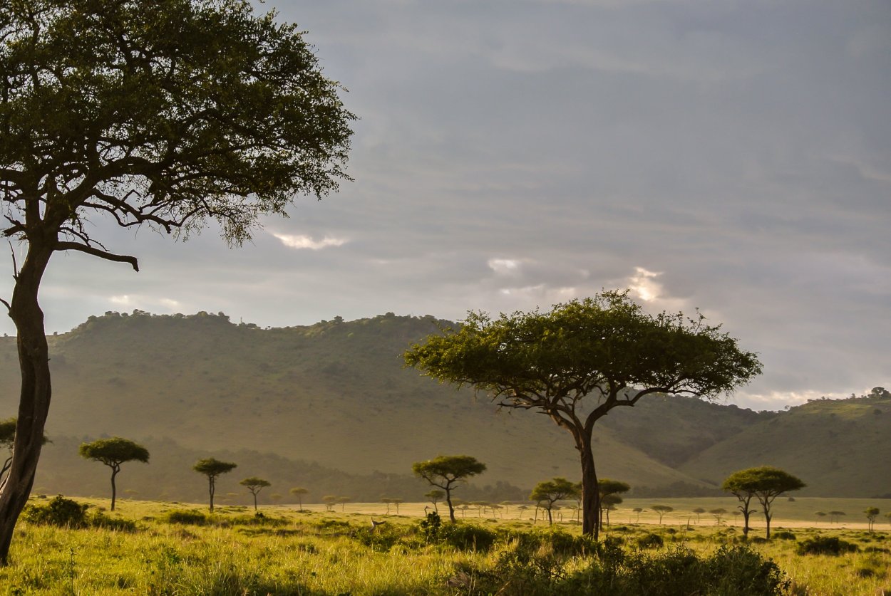 Африка пейзаж