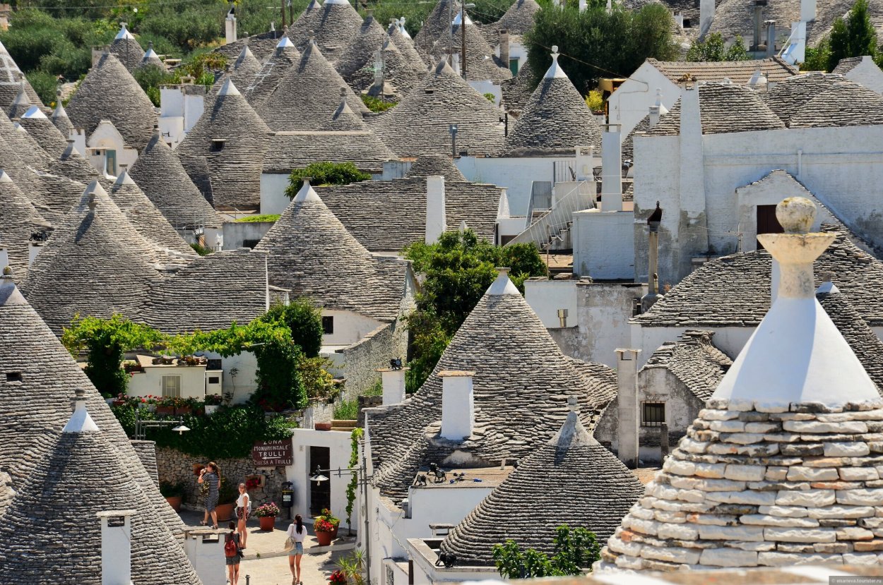 Секвойя Мафусаил