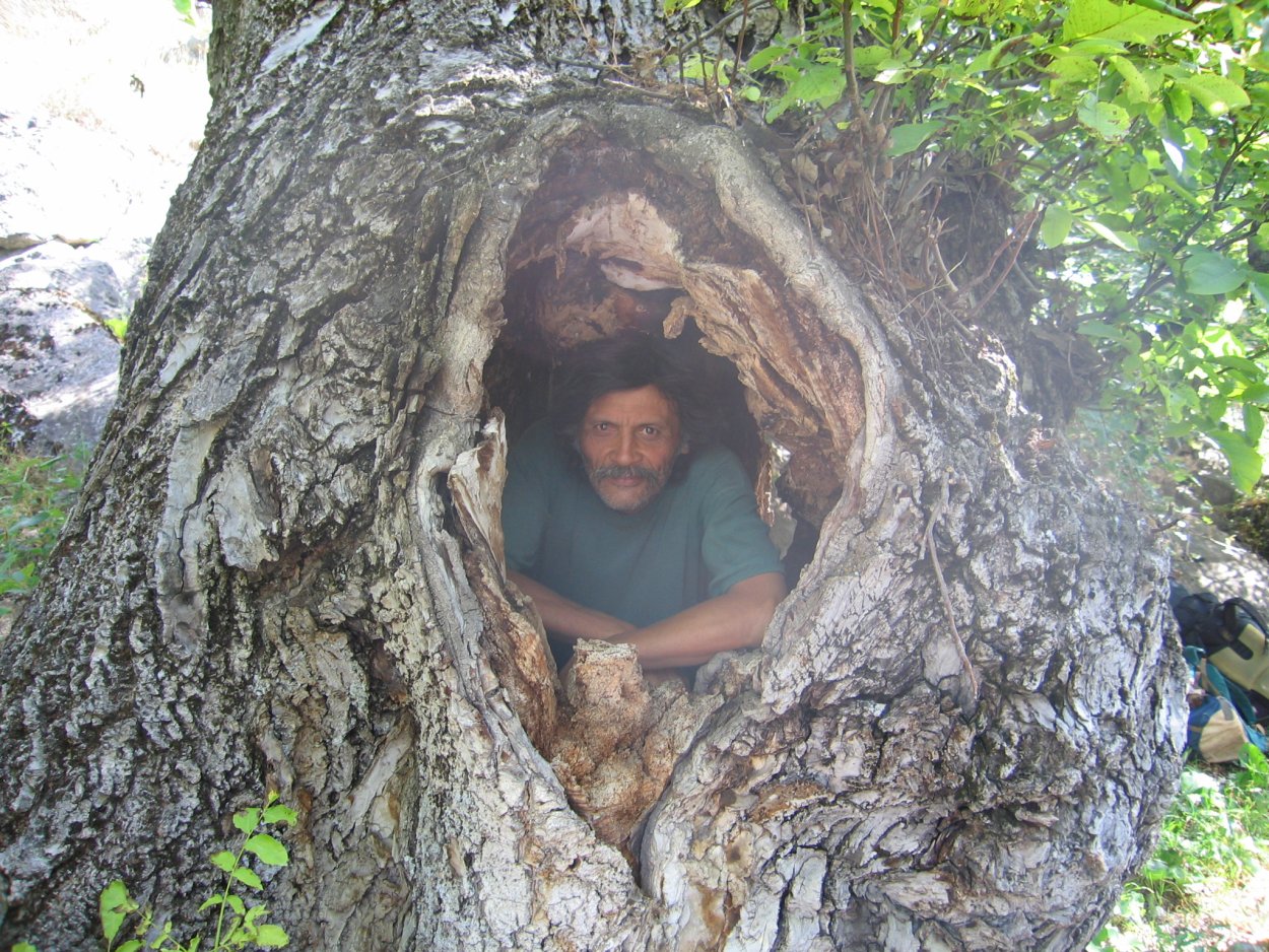 Человек в дупле