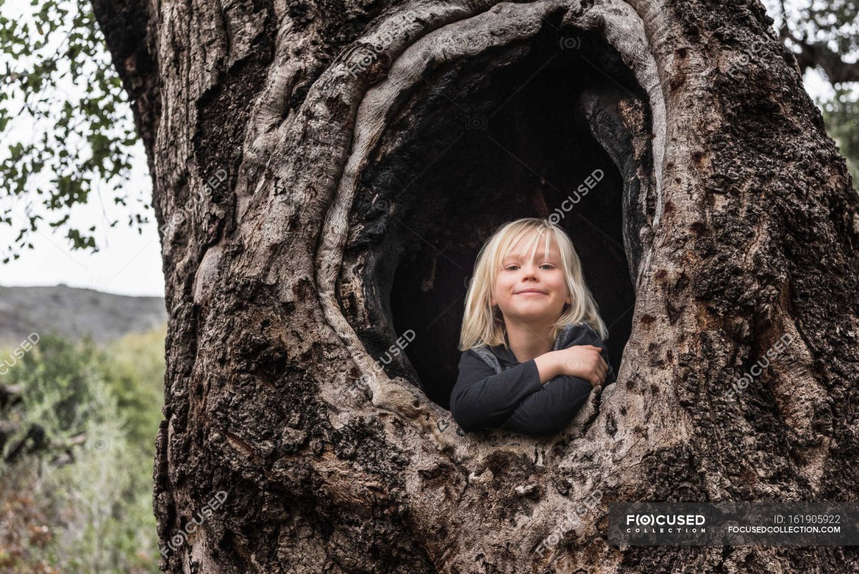 В дупло девочку