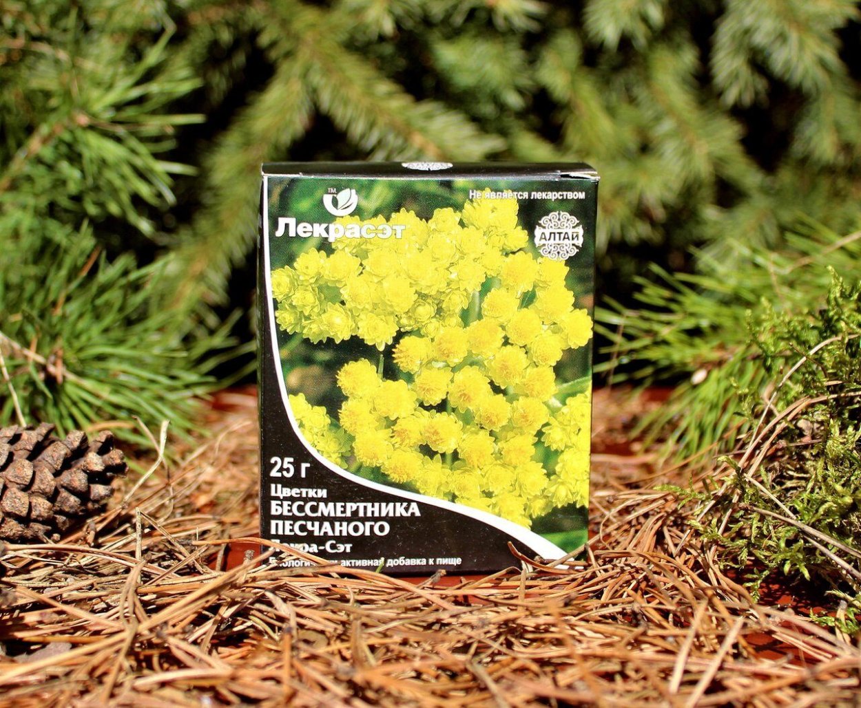 Цветки бессмертника песчаного