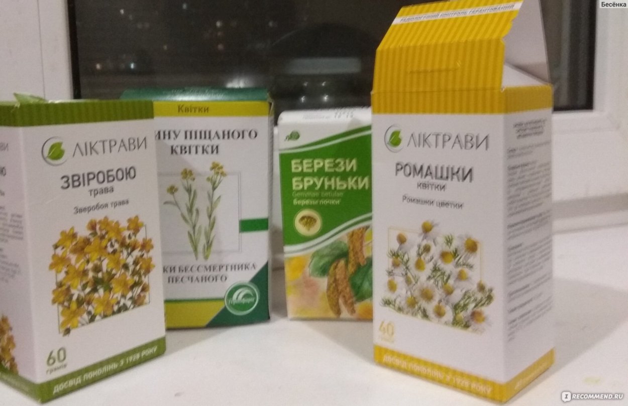 Растение бессмертник песчаный