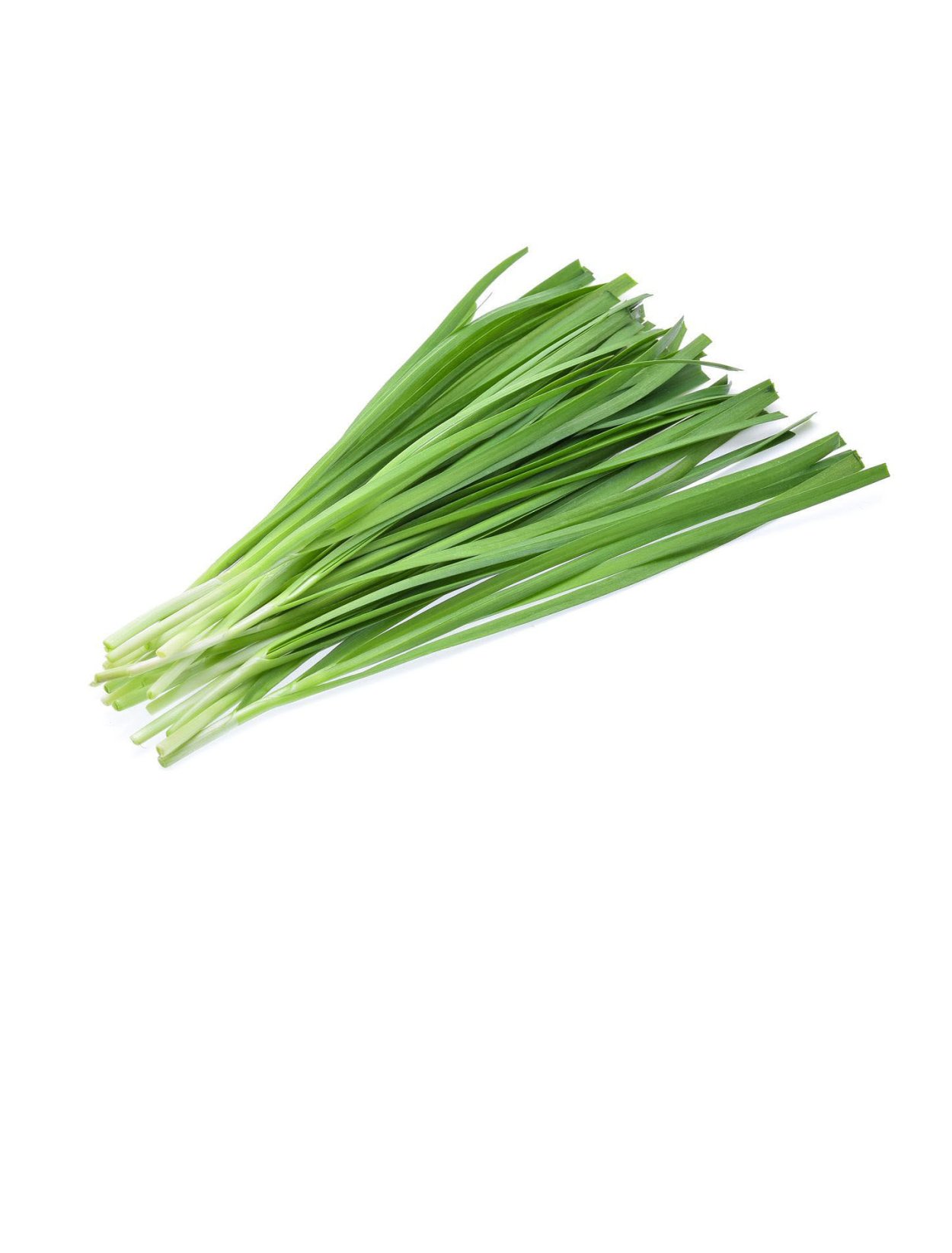 Дикий лук джусай