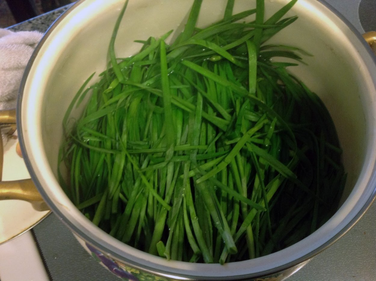 Дикий лук черемша