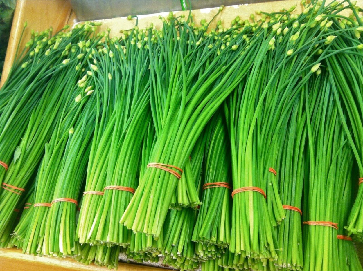 Garlic Chives
