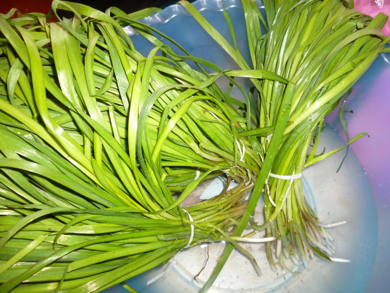 Зеленый лук на доске