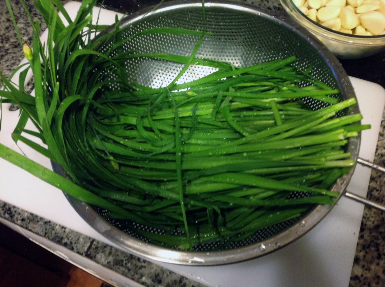 Джусай дикий чеснок