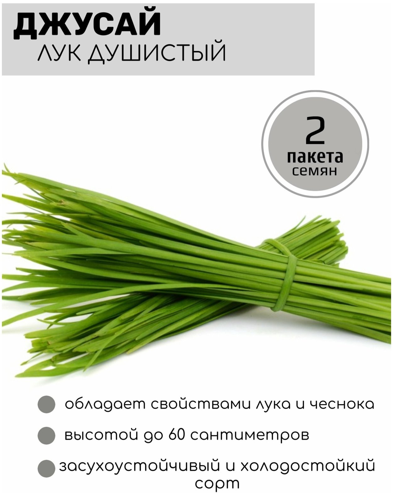 Многолетний лук джусай