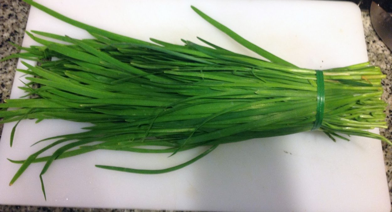 Джусай дикий чеснок