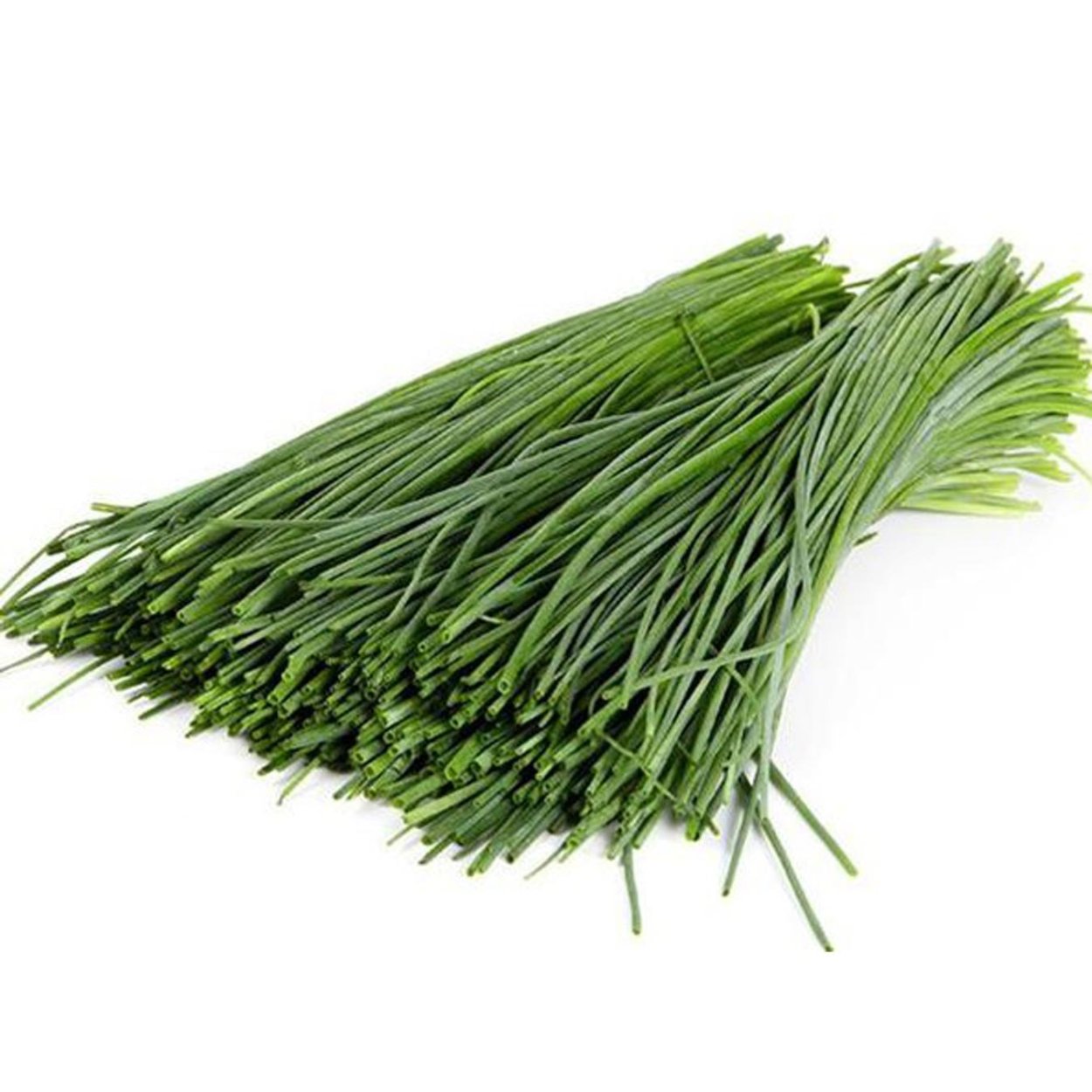 Джусай цветет