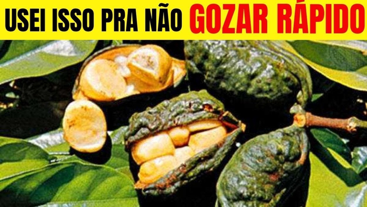 Африканский орех кола