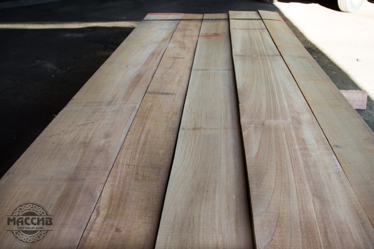 Бук Лесной Атропурпуреа