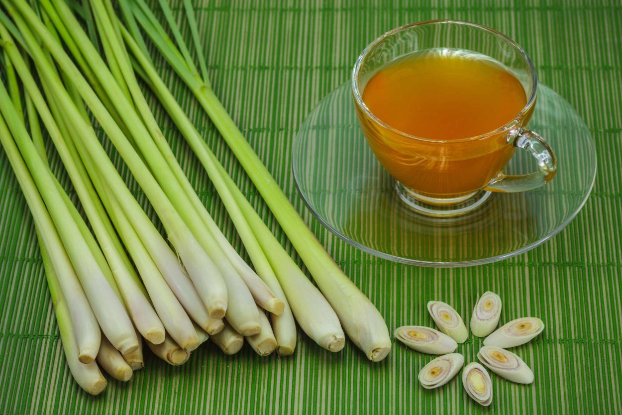 Лимонное сорго (Lemongrass)
