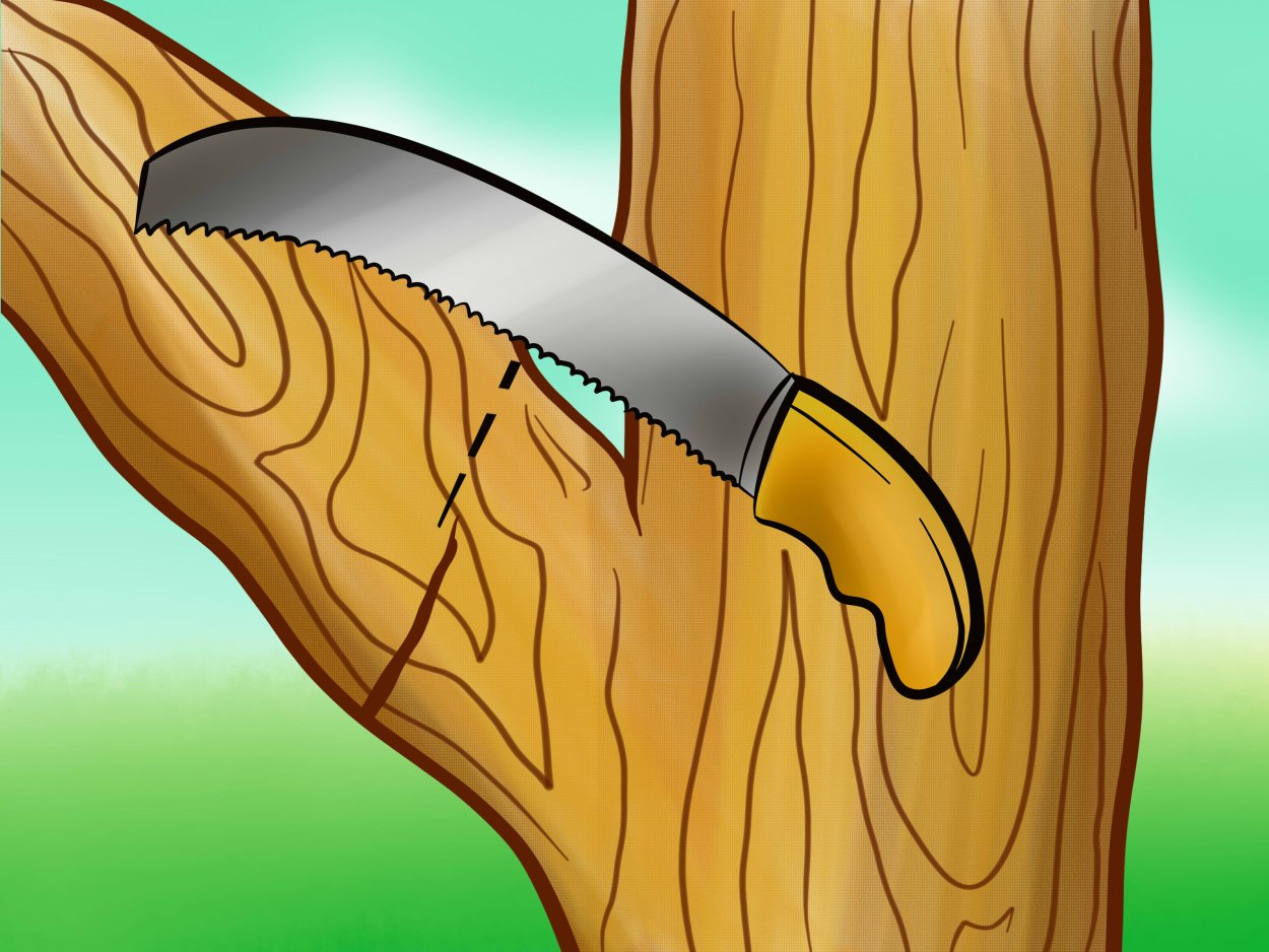 Пилит ветку