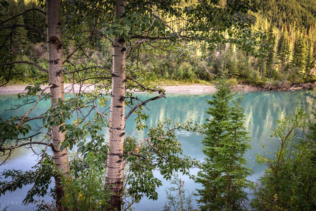 Россия просторы Березки реки