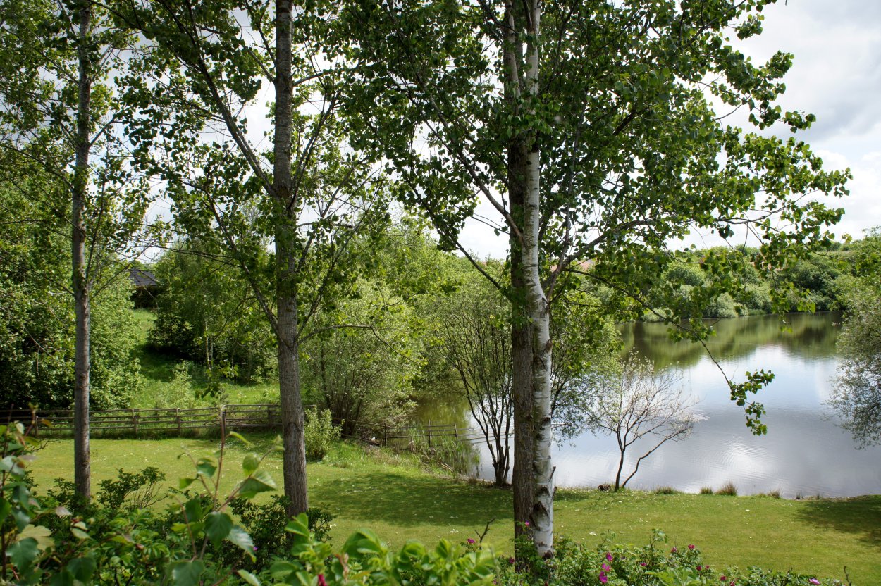 Солнце в озере