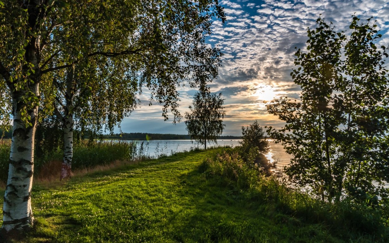 Березовая роща озеро Ивановская область