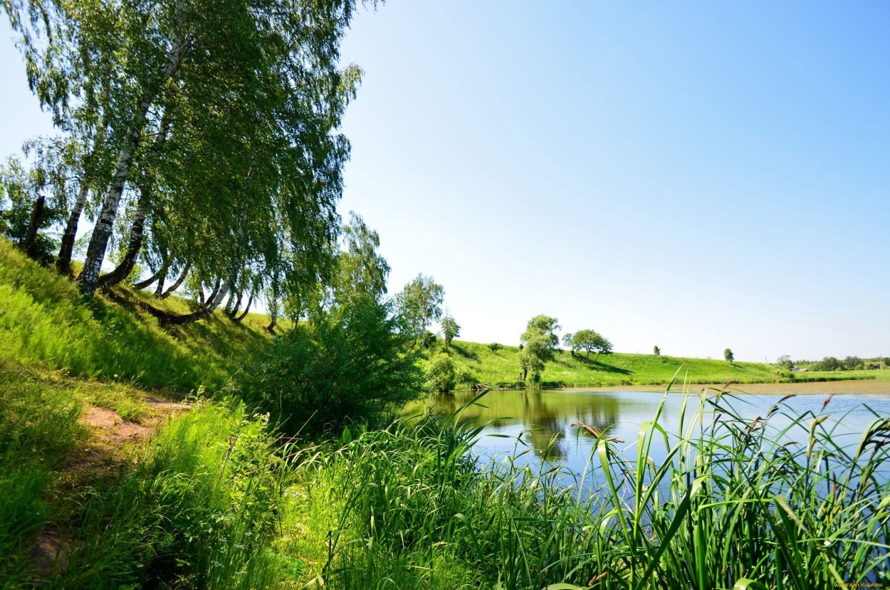 Курск природа