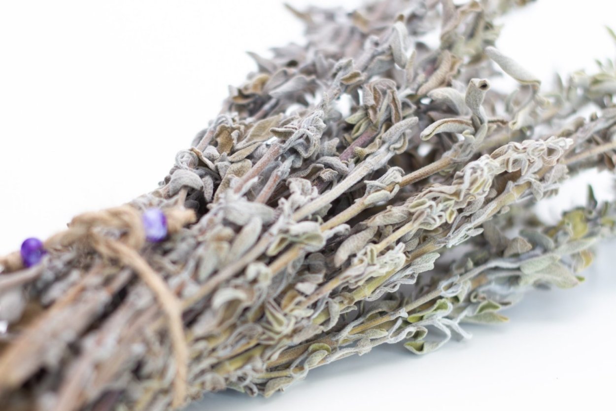 Шалфей в засушенном виде